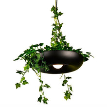 Load image into Gallery viewer, Circular Planter Pendant Lamp
