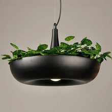 Load image into Gallery viewer, Circular Planter Pendant Lamp