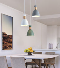 Load image into Gallery viewer, Rowan - Nordic Pendant Lights
