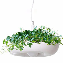 Load image into Gallery viewer, Circular Planter Pendant Lamp