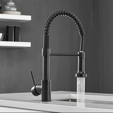 Load image into Gallery viewer, Teagan - Single-Hole Detachable Kitchen Faucet with Pull-Down Spring Water Spout
