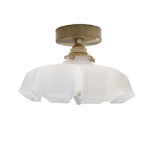 Load image into Gallery viewer, Glass Flower Ceiling & Pendant Lights