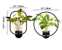 Charger l'image dans la galerie, ivy planter led wall sconce dimensions