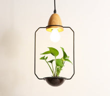 Load image into Gallery viewer, Modern Planter Pendant Lights