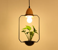 Load image into Gallery viewer, Black Planter Pendant Lights