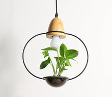 Load image into Gallery viewer, Modern Wrought Iron Planter Pendant Lights