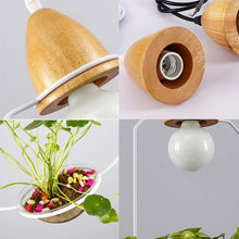 Load image into Gallery viewer, Glass Plant Planter Pendant Light