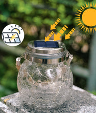 Charger l'image dans la galerie, Suspensions de jardin en bocal en verre