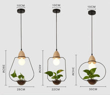 Load image into Gallery viewer, Planter Pendant Lights Dimensions