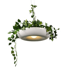 Load image into Gallery viewer, Circular Planter Pendant Lamp