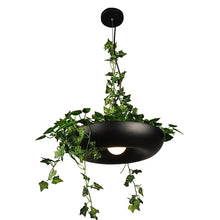 Load image into Gallery viewer, Circular Planter Pendant Lamp