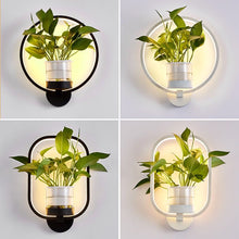 Charger l'image dans la galerie, led ring modern plant wall lights