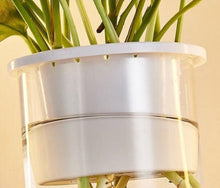 Charger l'image dans la galerie, Ivy - Applique murale à LED pour jardinière