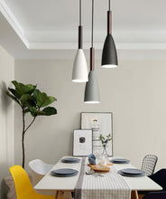 Charger l'image dans la galerie, White black and gray light fixture