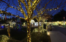 Charger l'image dans la galerie, Guirlande lumineuse solaire à LED