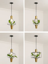Load image into Gallery viewer, Stela - Pendant Planter Light