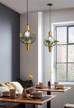 Load image into Gallery viewer, Stela - Pendant Planter Light