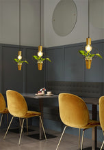 Load image into Gallery viewer, Stela - Pendant Planter Light