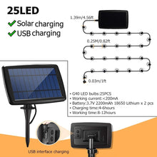 Cargar imagen en el visor de la galería, Luces de cadena con bombillas de vidrio para exteriores