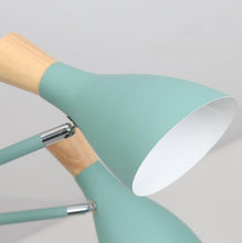 Load image into Gallery viewer, Modern Nordic Light Fixture