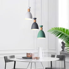 Load image into Gallery viewer, Pendant Lights in White, Gray and Teal Green Matte Finish