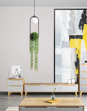 Load image into Gallery viewer, Leo - Sky Garden Planter Light