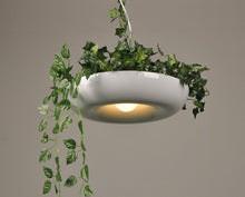 Load image into Gallery viewer, Circular Planter Pendant Lamp