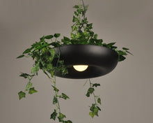 Load image into Gallery viewer, Circular Hanging Garden Pendant Lamp in Black