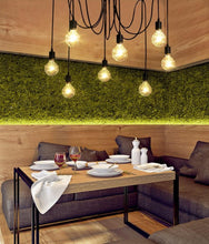 Load image into Gallery viewer, The Spider Chandelier