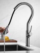 Load image into Gallery viewer, Benjamin - Retractable Curved Kitchen Faucet