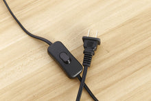 Load image into Gallery viewer, Original Planter Lamp