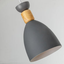 Load image into Gallery viewer, Rowan - Nordic Pendant Lights