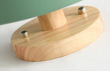 Load image into Gallery viewer, Colorful Nordic LED Ceiling Light