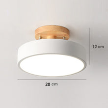 Load image into Gallery viewer, Colorful Nordic LED Ceiling Light