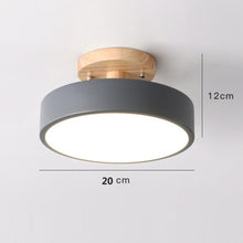 Load image into Gallery viewer, Colorful Nordic LED Ceiling Light