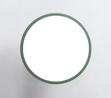 Load image into Gallery viewer, Colorful Nordic LED Ceiling Light