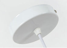 Load image into Gallery viewer, Lily - Planter Pendant Lights