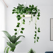 Load image into Gallery viewer, Circular Hanging Garden Plant LED Pendant Light