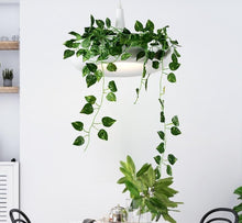 Load image into Gallery viewer, Hanging Garden Pendant Lamp in white