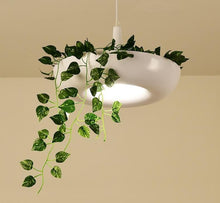 Load image into Gallery viewer, Circular Planter Pendant Lamp