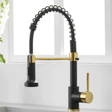 Load image into Gallery viewer, Teagan - Single-Hole Detachable Kitchen Faucet with Pull-Down Spring Water Spout