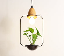 Load image into Gallery viewer, Modern Planter Pendant Lights
