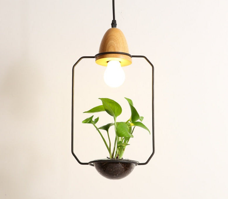 hanging plant box frame pendant light Lily