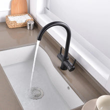 Load image into Gallery viewer, Dual Handle Modern Kitchen Faucet in Black

