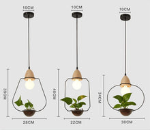 Load image into Gallery viewer, Planter Pendant Lights Dimensions
