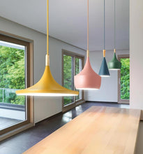 Load image into Gallery viewer, Colby - Colorful Nordic Pendant Lights
