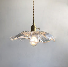 Load image into Gallery viewer, Floral clear glass lampshade pendant light
