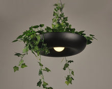 Load image into Gallery viewer, Circular Hanging Garden Pendant Lamp in Black
