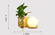Load image into Gallery viewer, Modern Wooden Planter Wall Lamp
