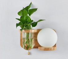 Load image into Gallery viewer, Modern Wooden Planter Wall Lamp
